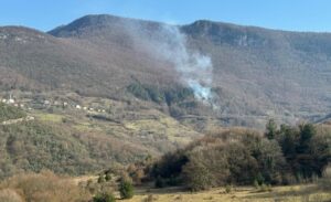 Karabük’ün Yenice ilçesine bağlı Yeşilköy köyünde ormanlık alanda örtü yangını
