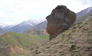 Muş’un merkezine bağlı Kızılağaç beldesindeki Ahcar Yaylası’nda yer alan ve