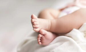 Aile ve Sosyal Hizmetler Bakanı Mahinur Özdemir Göktaş, 2025 yılı