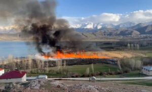 Gevaş ilçesinde, Van Gölü kıyısında yer alan Göründü Sulak Alanı’ndaki