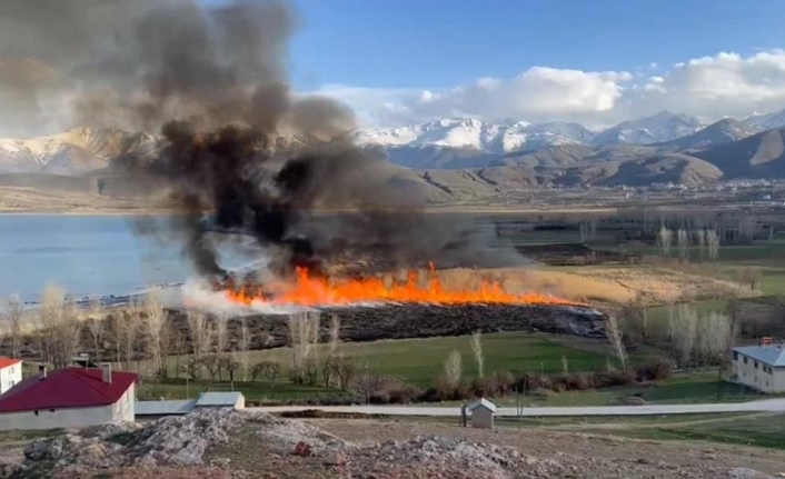 Gevaş ilçesinde, Van Gölü kıyısında yer alan Göründü Sulak Alanı’ndaki
