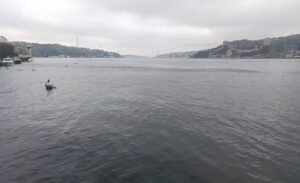 İstanbul Silivri açıklarında meydana gelen 6.2 büyüklüğündeki depremin etkileri sadece