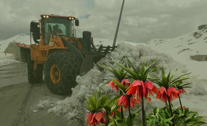 Van’ın kışın en zorlu geçen ilçelerinden Bahçesaray, havaların ısınmasıyla birlikte