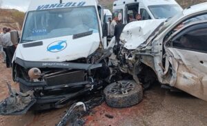 Yüksekova ilçesine yaklaşık 16 kilometre uzaklıktaki Çöplük mevkiinde meydana gelen