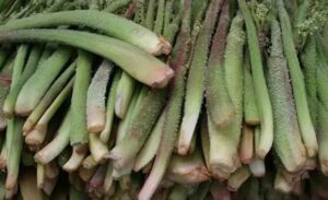 Doğu Anadolu Bölgesi’nin yüksek kesimlerinde doğal olarak yetişen ve halk