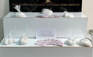 Van İl Emniyet Müdürlüğü Narkotik Suçlarla Mücadele Şube Müdürlüğü ekipleri,