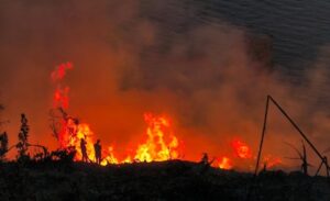 Gazipaşa ilçesine bağlı Güneyköy Mahallesi’nde bir muz bahçesinde çıkan yangın,