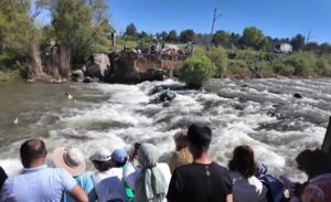 Erciş ilçesindeki tatlı sulara yumurtalarını bırakmak için suyun akışına karşı