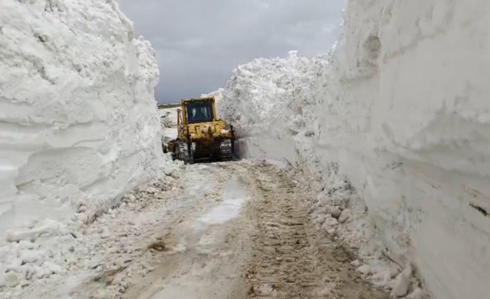 Yüksekova ilçesine bağlı Doski Vadisi’nde, yer yer 3 metreyi bulan
