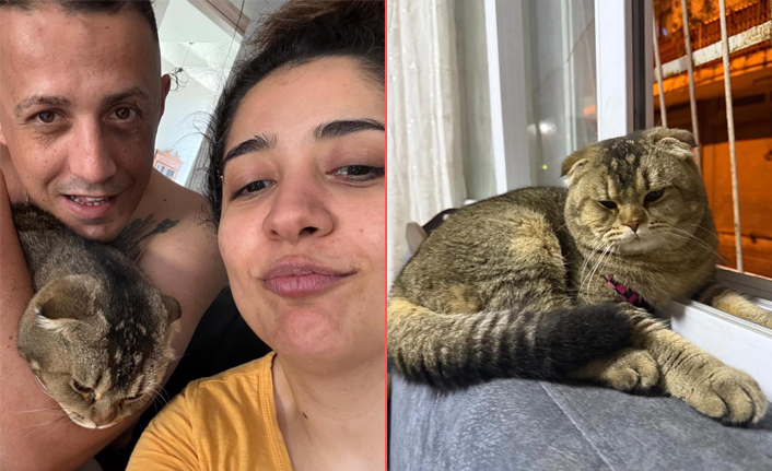 Adana’da kedisi kaybolan Zeynep Eğri, onu bulana 15 bin lira