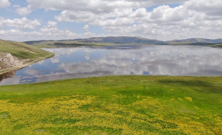 Gürpınar ilçesi sınırlarında, Erek Dağı eteklerinde yer alan 2 bin