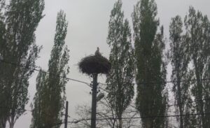 Özalp ilçesinde, Yukarı Dönerdere Mahallesi’ndeki bir elektrik direği 48 yıldır