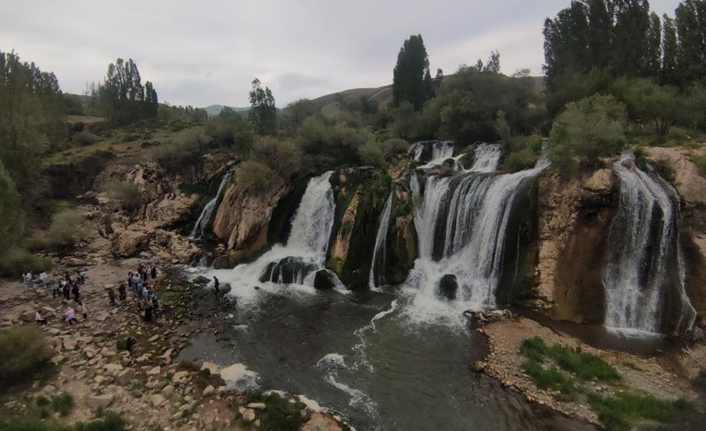 Tarım ve Orman Bakanlığı, Doğa Koruma ve Milli Parklar (DKMP)