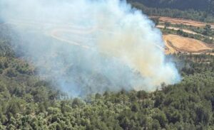 Bigadiç ilçesine bağlı Hacıömerderesi kırsal mahallesi yakınlarında orman yangını çıktı.
