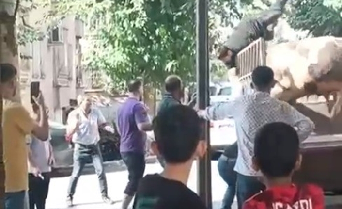 Haliliye ilçesinde kamyonetten indirilmeye çalışılan kızgın boğa, kasaba saldırarak dehşet