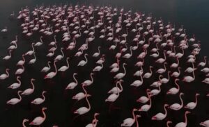 Van’ın doğusunda yer alan ve doğal güzelliğiyle dikkat çeken Erçek