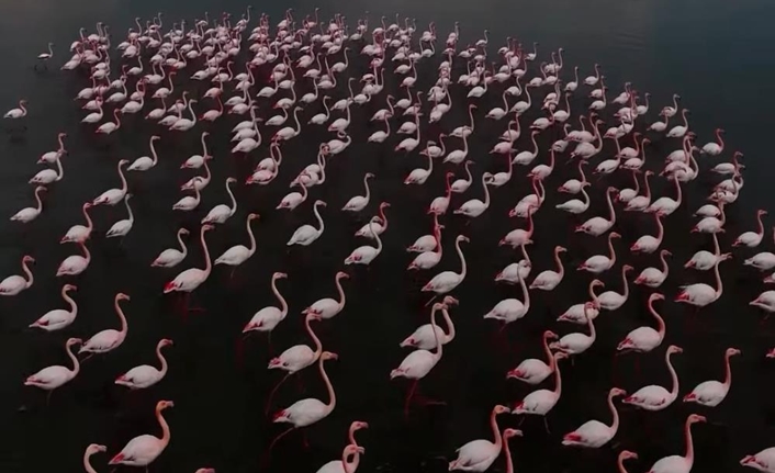 Van’ın doğusunda yer alan ve doğal güzelliğiyle dikkat çeken Erçek