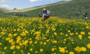 Gürpınar ilçesinde, Erek Dağı ile Keşiş (Turna) Gölü arasında yer