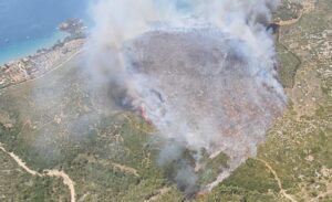 Karaburun ilçesinde ormanlık alanda çıkan yangına ekipler havadan ve karadan
