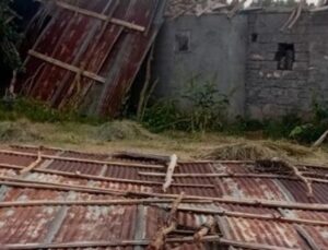 Muş’ta fırtına hayatı olumsuz etkiledi! Önüne çıkanı yıktı