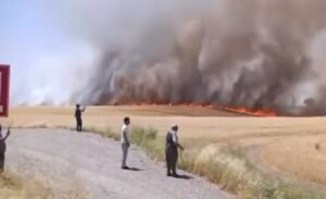 Kocaköy ilçesi Mermer Mahallesi’nde henüz belirlenemeyen nedenle çıkan yangında, biçilmemiş