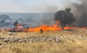 Mazıdağı ilçesinde, Konur ve Meşeli kırsal mahalleleri arasında sabah saatlerinde