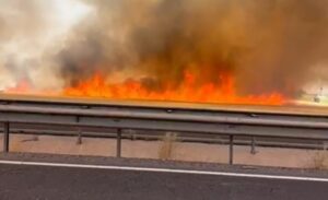Viranşehir ilçesinde çıkan yangında yaklaşık 100 dönüm buğday ekili tarla