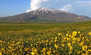Ahlat ve Adilcevaz ilçeleri sınırlarında, Süphan Dağı eteklerinde yer alan