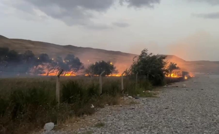 Tuşba ilçesinde ağaçlık alanda çıkan yangın, itfaiye ekiplerinin ve vatandaşların