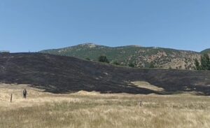 Hizan ilçesinde çıkan anız yangını paniğe neden oldu. Yangında yaklaşık