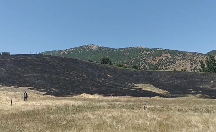 Hizan ilçesinde çıkan anız yangını paniğe neden oldu. Yangında yaklaşık