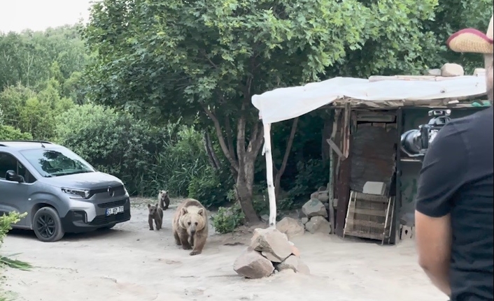 Tatvan ilçesi sınırlarında yer alan ve doğal güzellikleriyle öne çıkan