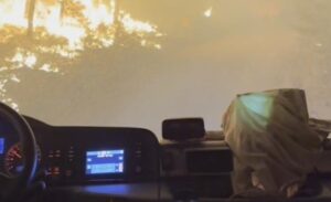 Buca ilçesinde dün öğleden sonra çıkan orman yangını, rüzgarın etkisiyle