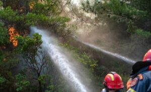Antakya ilçesinde devam eden orman yangınıyla mücadelede, alevlerin arasında kalan