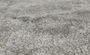 Van’da küresel ısınma ve azalan yağışlarla birlikte kuraklık etkisini artırdı.