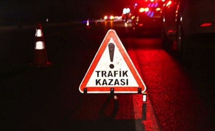 Adilcevaz ilçesinde meydana gelen traktör kazasında 1 kişi yaralandı. Kaza,