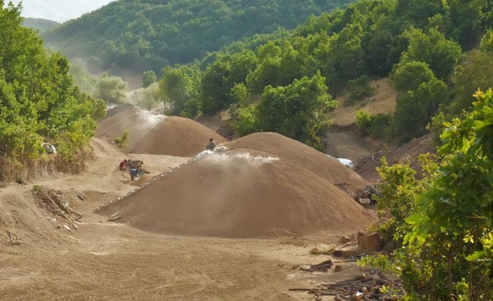 Güven ortamının sağlandığı Muş dağlarında meşe odunundan üretilen mangal kömürü,
