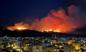 Dörtyol ilçesinde çıkan orman yangını, rüzgarın etkisiyle kısa sürede büyüdü.