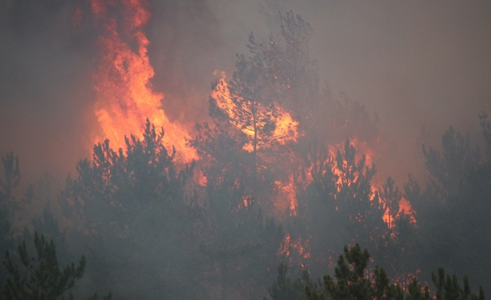 Bursa’nın Kestel ve Harmancık ilçeleri ile Karabük’ün Safranbolu ilçesinde ve
