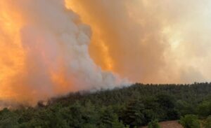 Son bir haftadır Türkiye, birçok ilde çıkan orman yangınlarıyla büyük