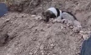 Van’da geçirdiği kalp krizi sonucu yaşamını yitiren 27 yaşındaki Muğdat