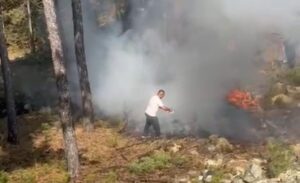 Harmancık ilçesi yakınlarında dört gün süren orman yangınının ardından çıkan